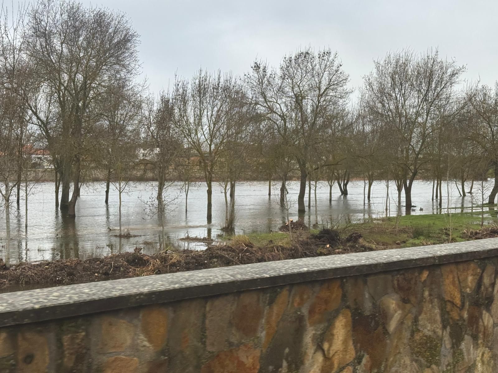 El río Águeda a su paso por Ciudad Rodrigo, crecidas y desbordamientos febrero 2026