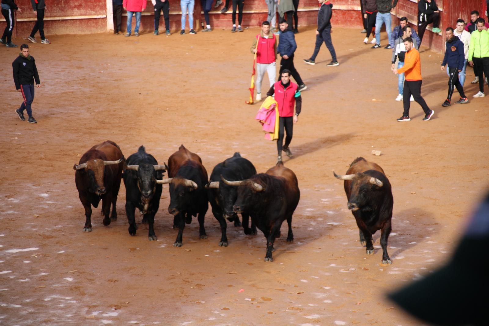 encierro-del-martes-de-carnaval-en-ciudad-rodrigo-14