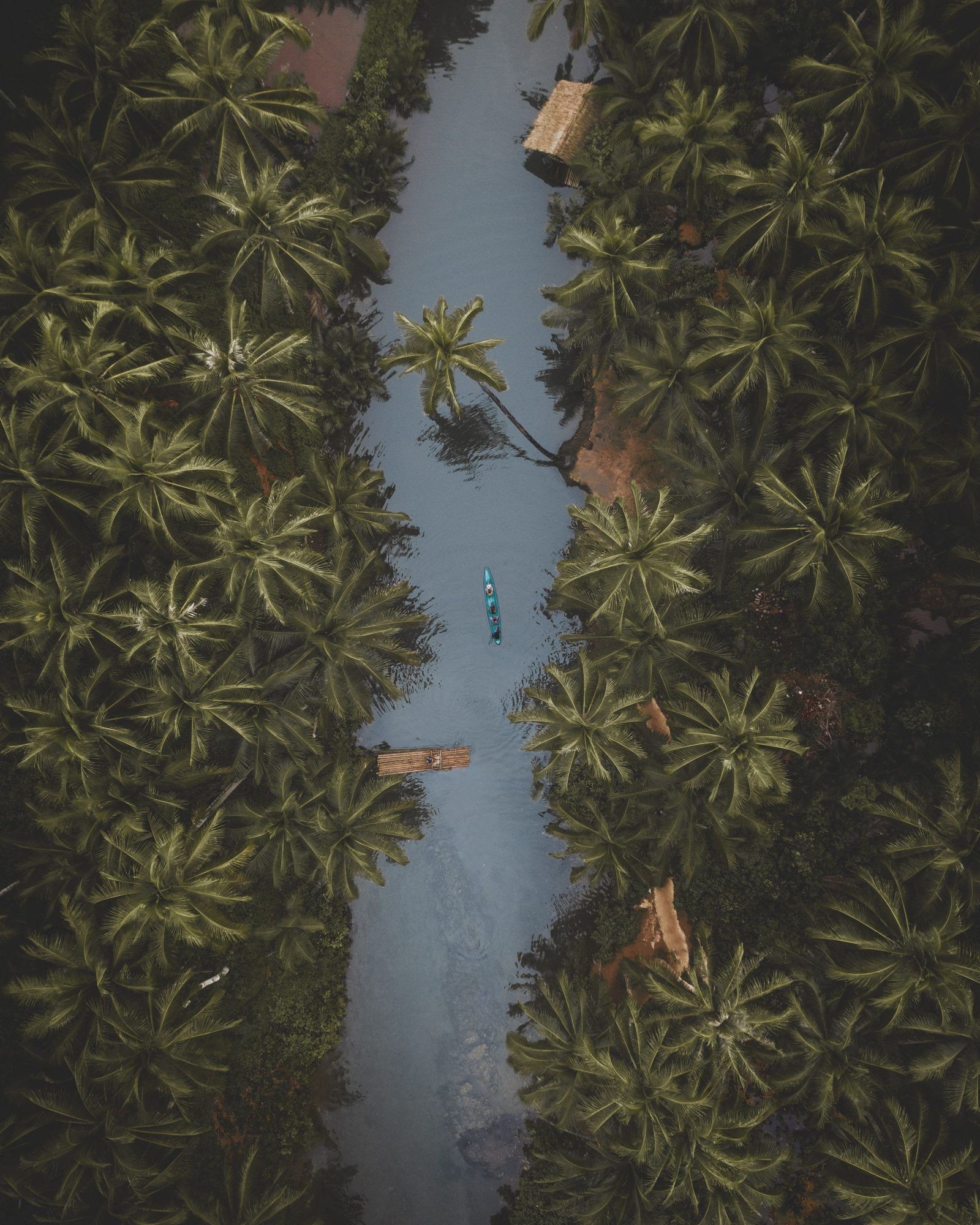 top-down-palm-river-philippines-scaled