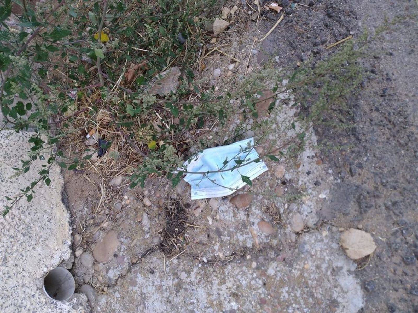 118152243 3946054925421392 2707989595542138929 o