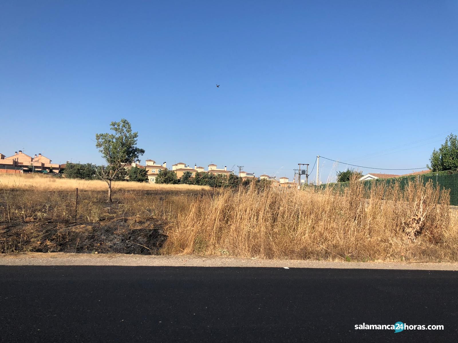 WhatsApp Image 2020 07 11 at 09.42.35