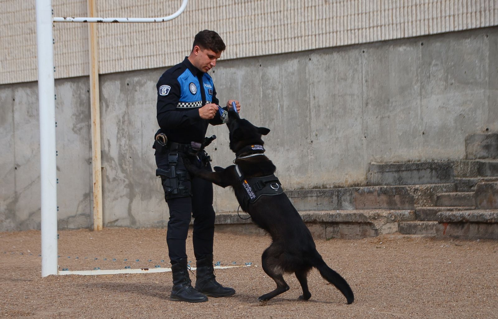 Reportaje perros Policía Local "semillas de conciencia"