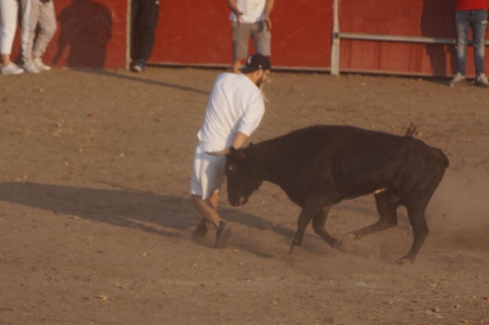 Carreras, risas y tradición: así se ha vivido El Toro en Santa Marta