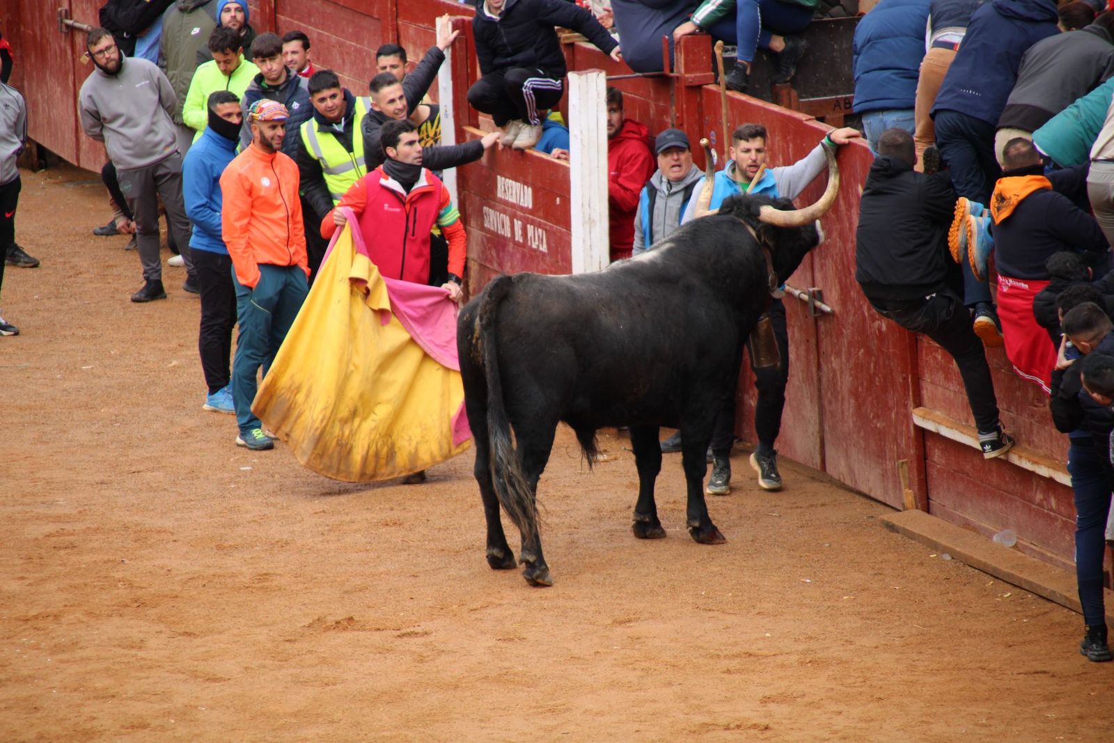 encierro-urbano-martes-de-carnaval-ciudad-rodrigo-2025-6