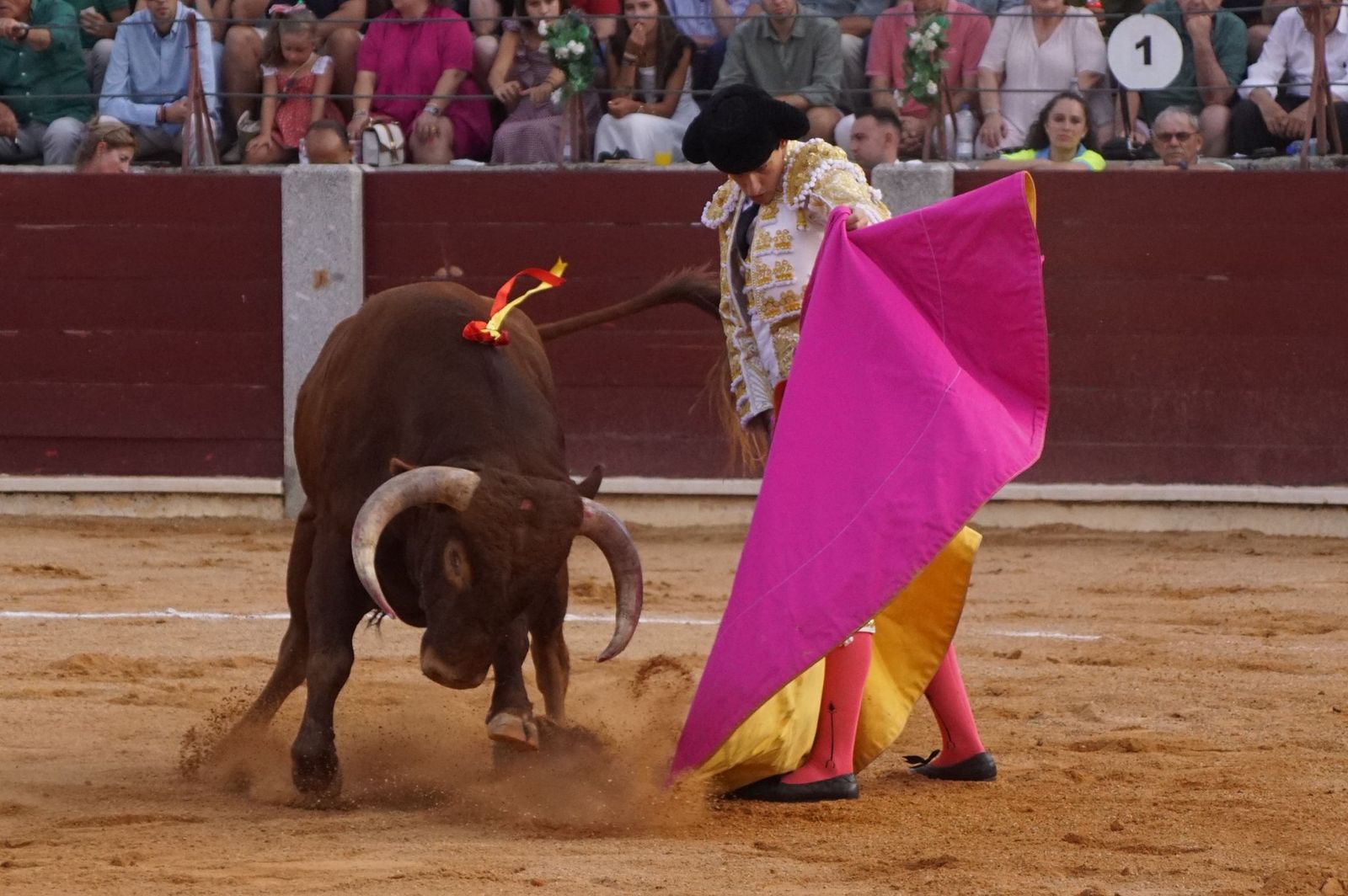 Novillada mixta en picadores en Guijuelo, 17 de agosto