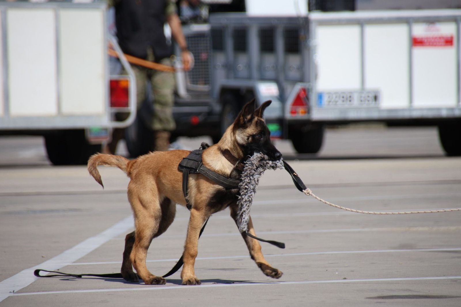 20230608102359-img-0386