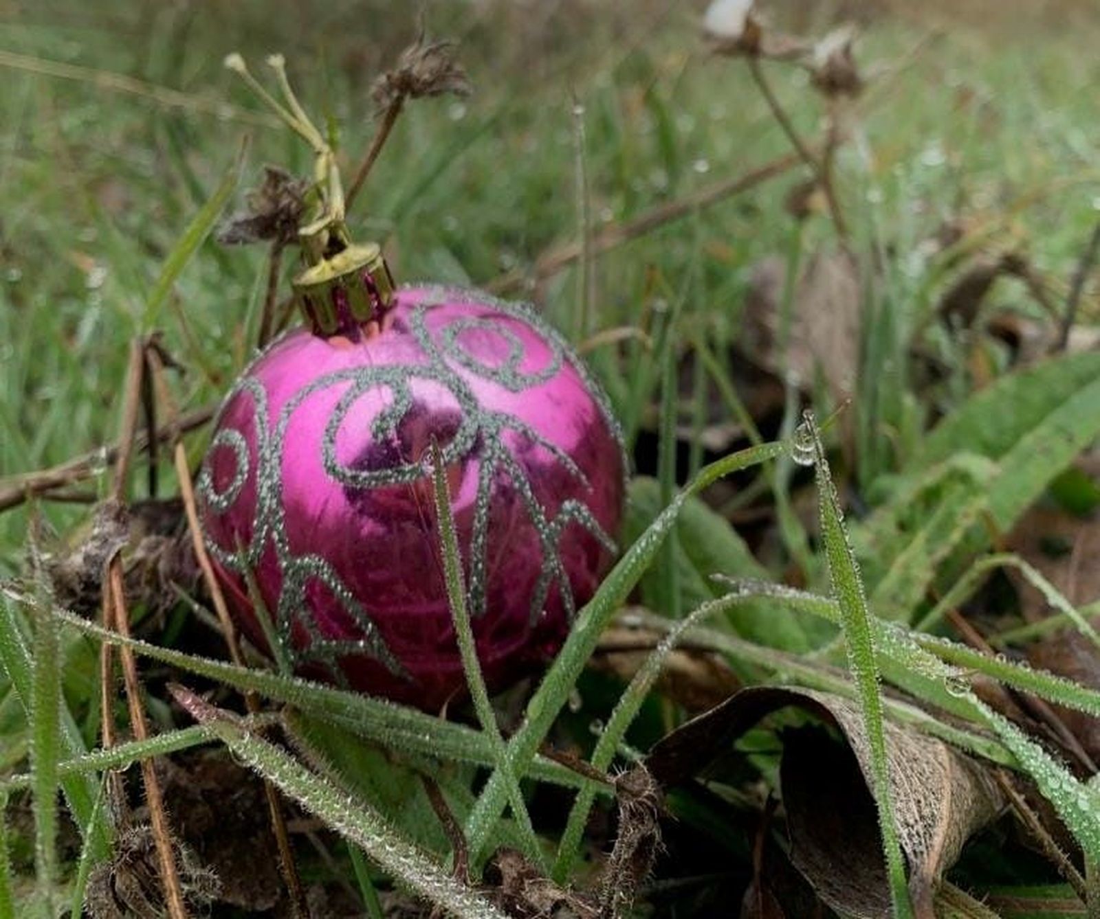 Navidad con escarcha. Foto Jóvenes Pino del Oro