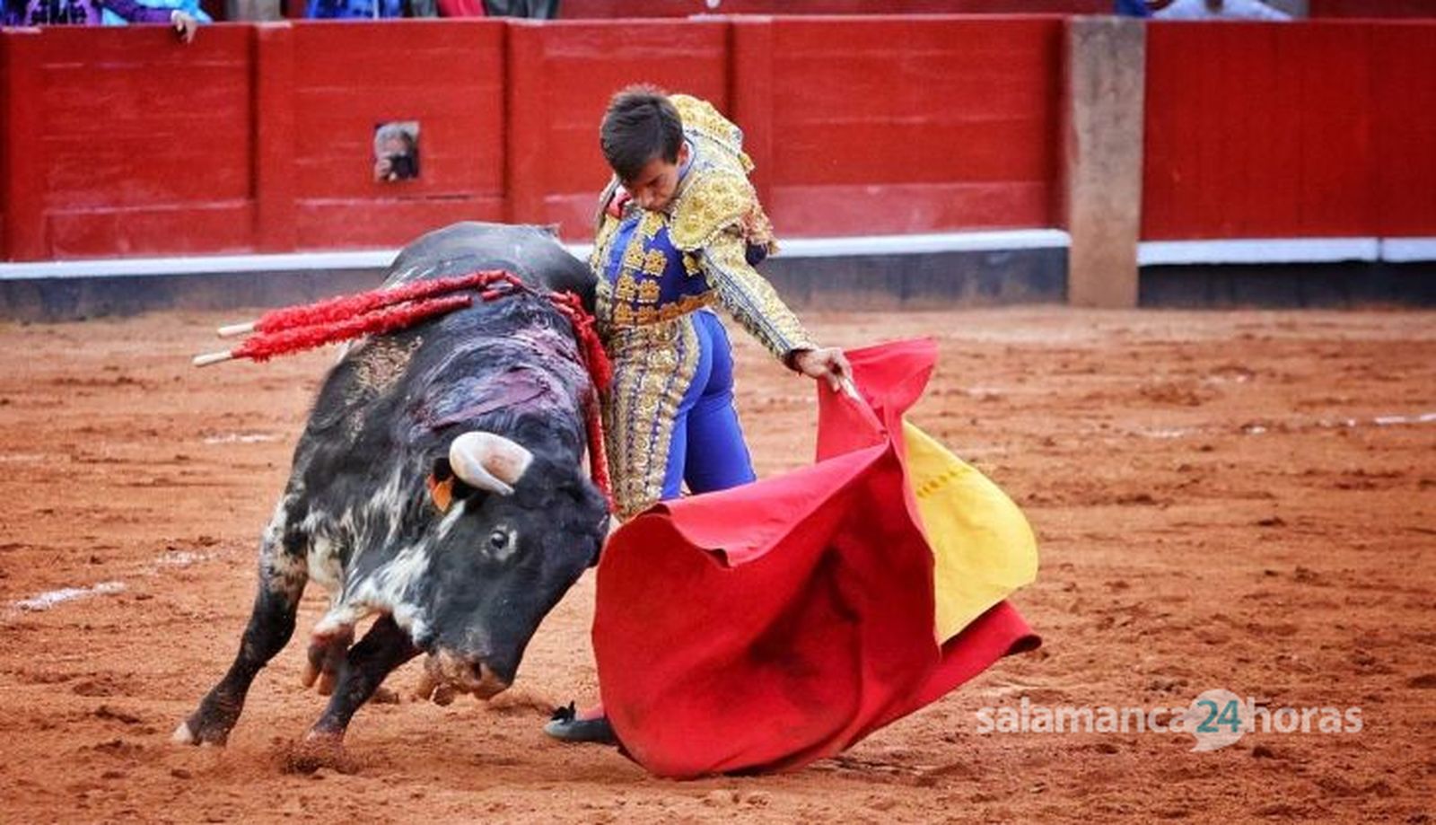 Ismael Martín con ‘Palmero’, novillo de Lorenzo Espioja. Foto Andrea M. 