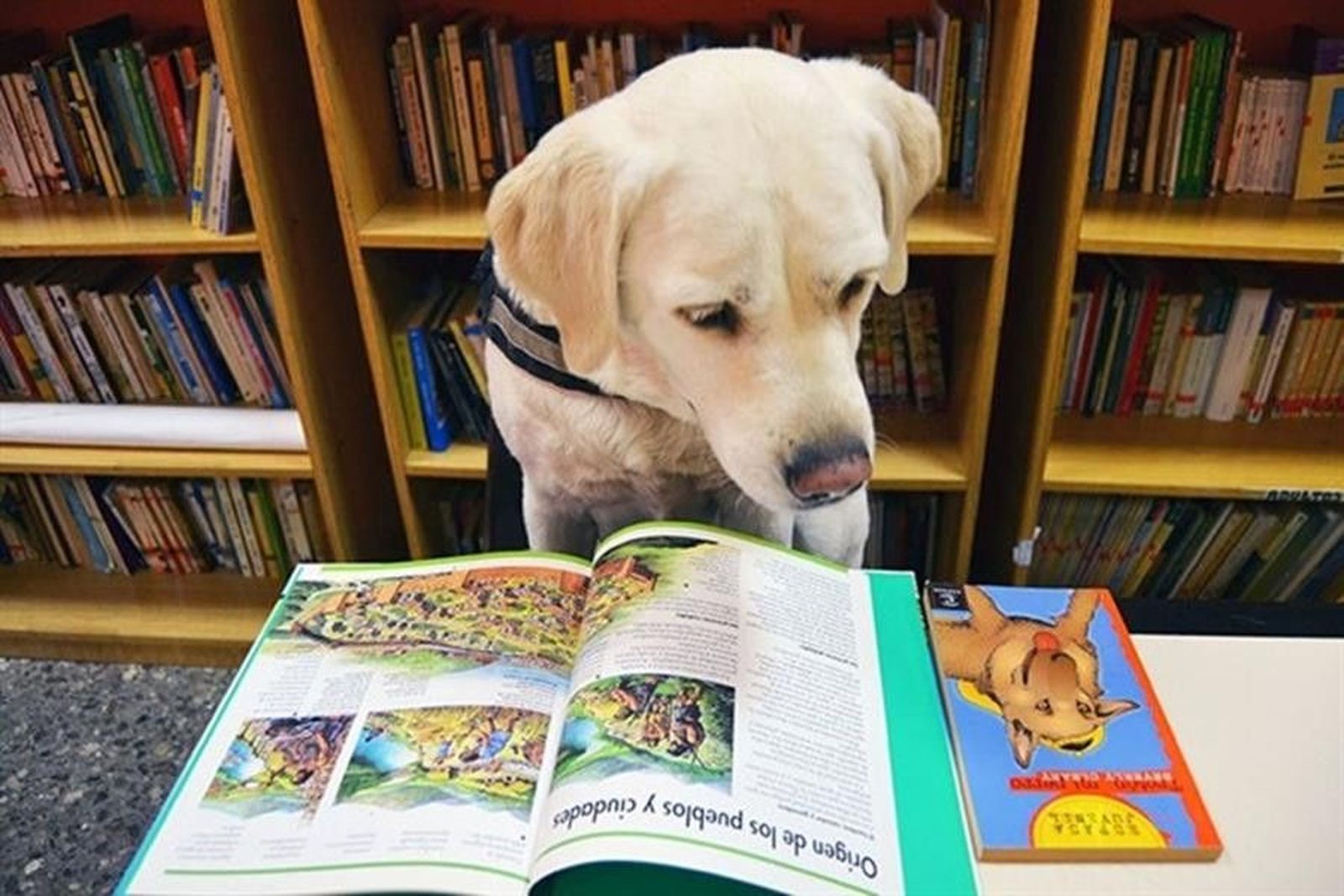 Fotonoticia 20150217120708 640 (Copy)