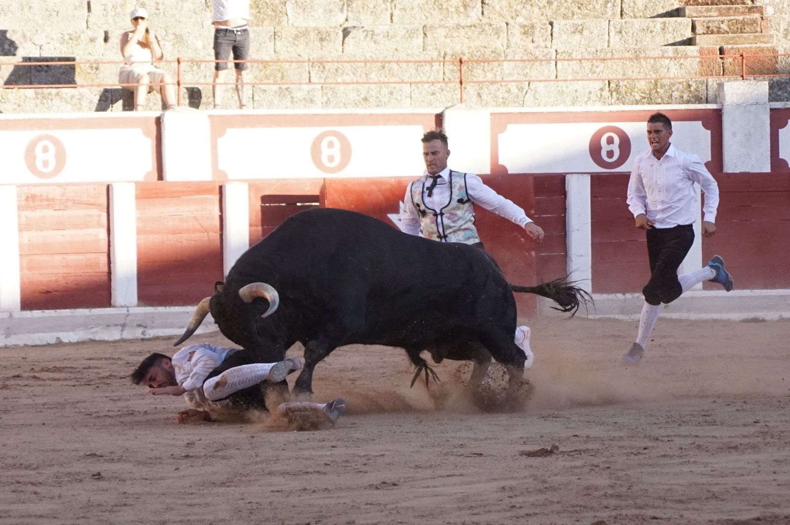 whatsapp-image-2023-07-02-at-22-40-56