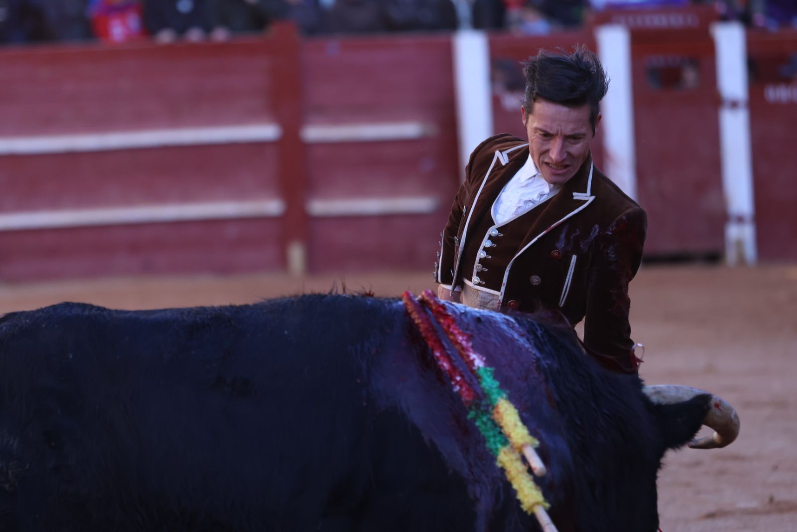 Festival taurino del Sábado en el Carnaval del Toro 2026 de Ciudad Rodrigo