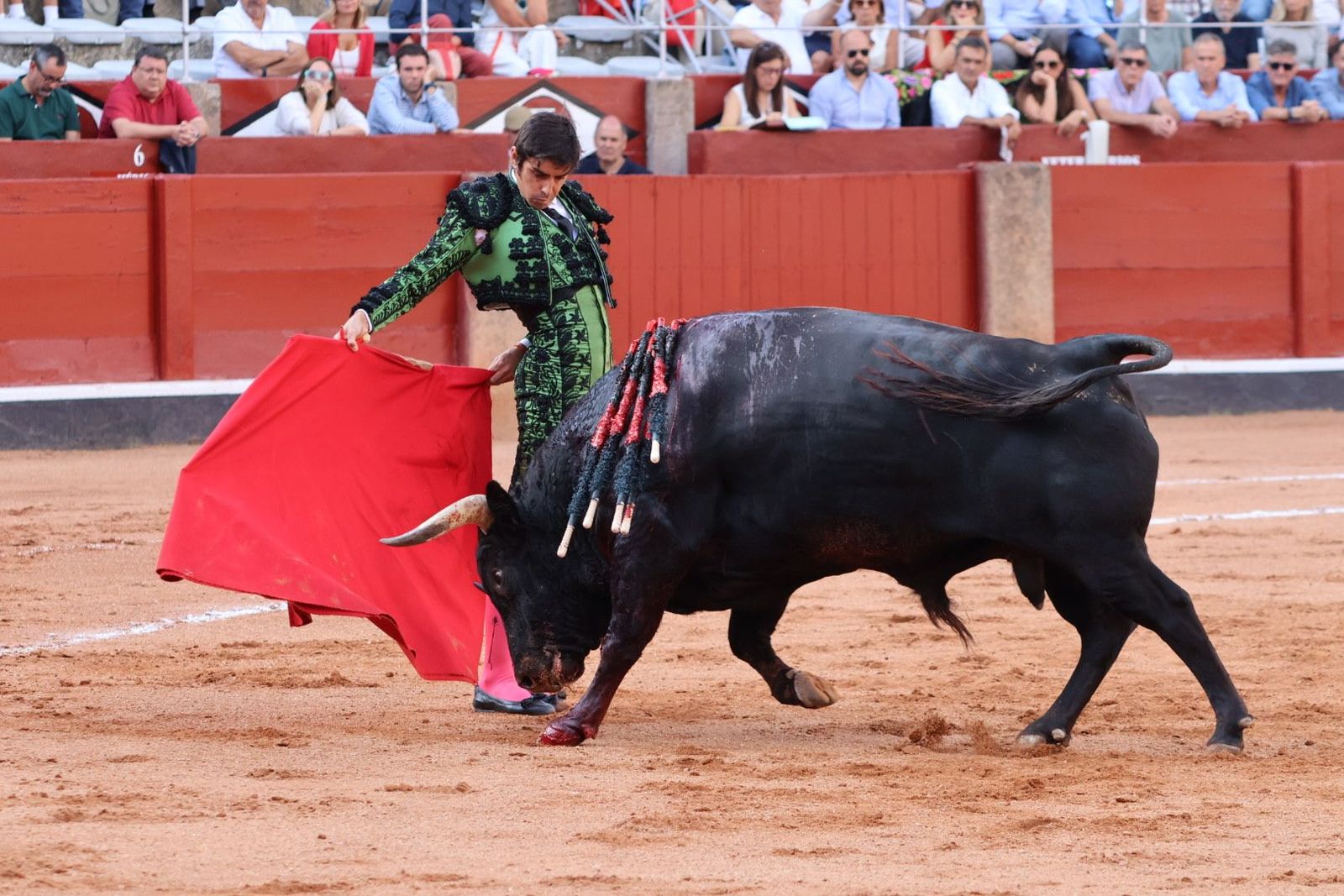 20230910172512-img-1786