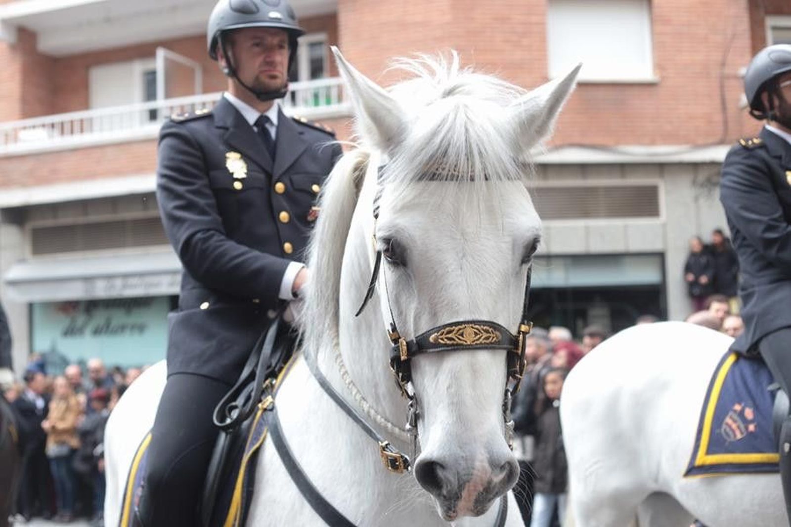 20190419162836 IMG 2351 (Copy)