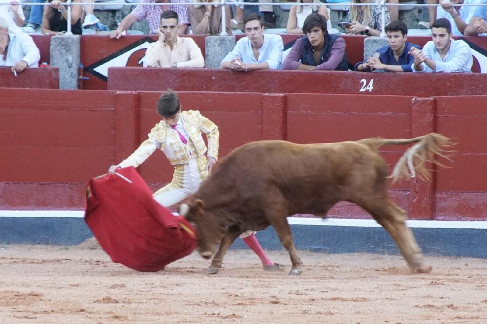 whatsapp-image-2023-09-08-at-21-25-00