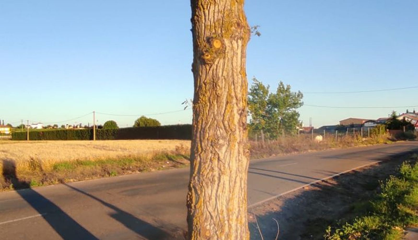 WhatsApp Image 2021 07 08 at 17.09.19