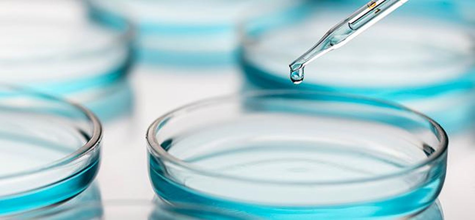 Investigación. Proyectos. USAL. Archivo