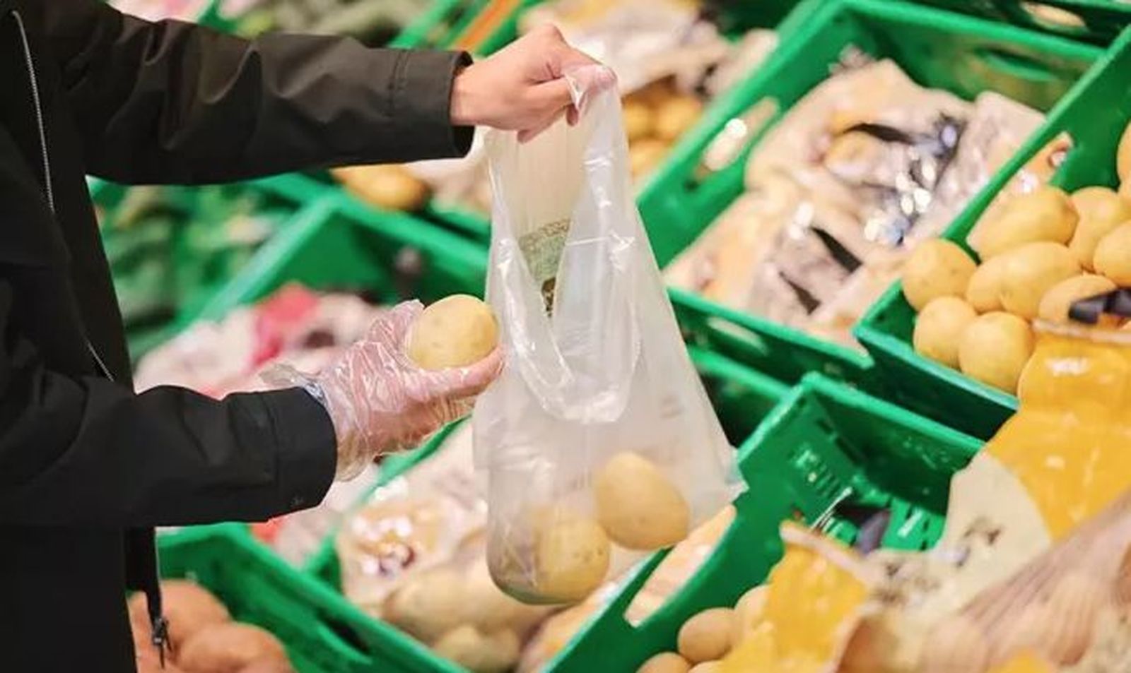 Patatas en el lineal de Mercadona - MERCADONA Patatas en el lineal de Mercadona - MERCADONA