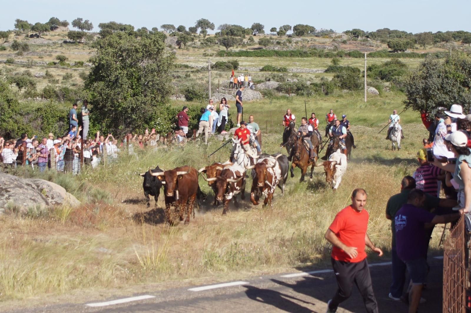 ledesma-calienta-motores-para-los-espantos-con-el-reparto-de-panuelos-y-la-salida-de-los-toros-del-prao-de-la-villa-12