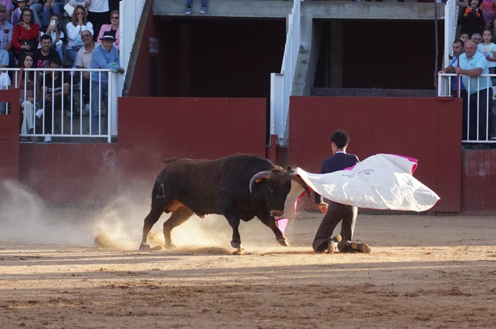 whatsapp-image-2024-09-07-at-20-49-10-5