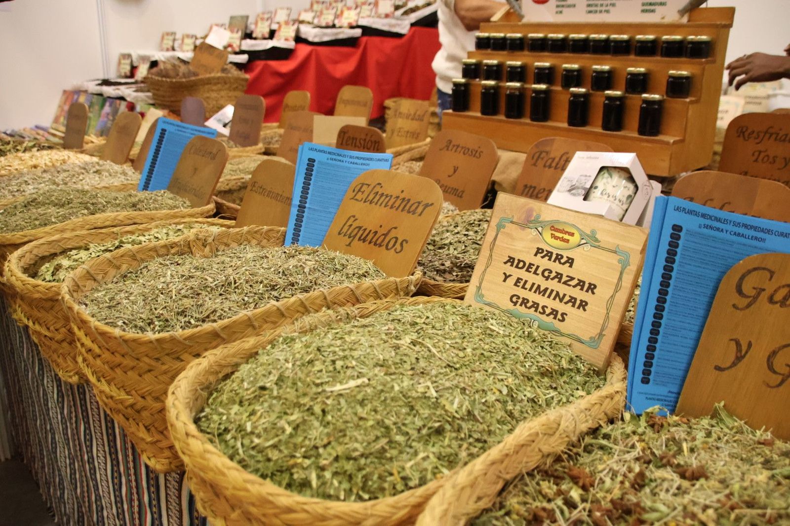 20230903110739-img-7672