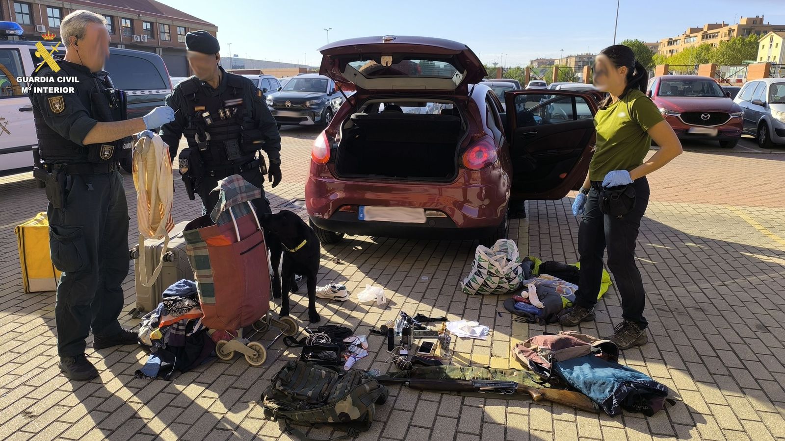 Detenidos en plena A-66 tras huir con un coche robado desde Plasencia