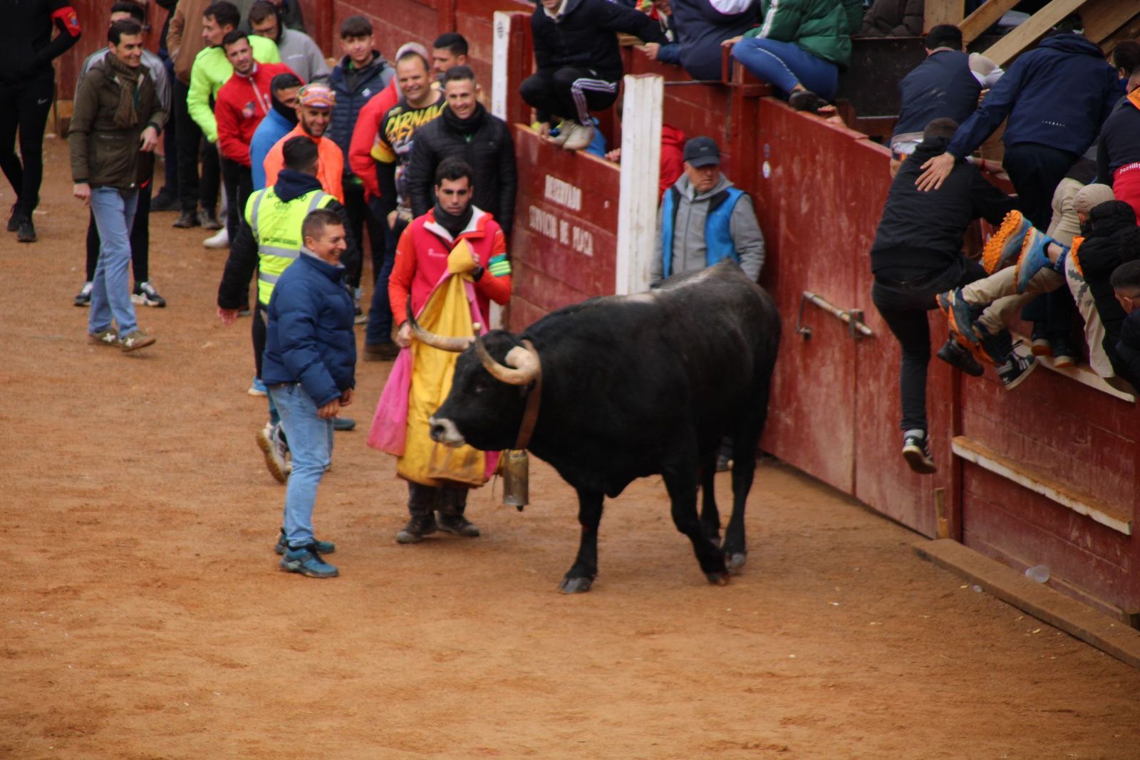 encierro-urbano-martes-de-carnaval-ciudad-rodrigo-2025-8
