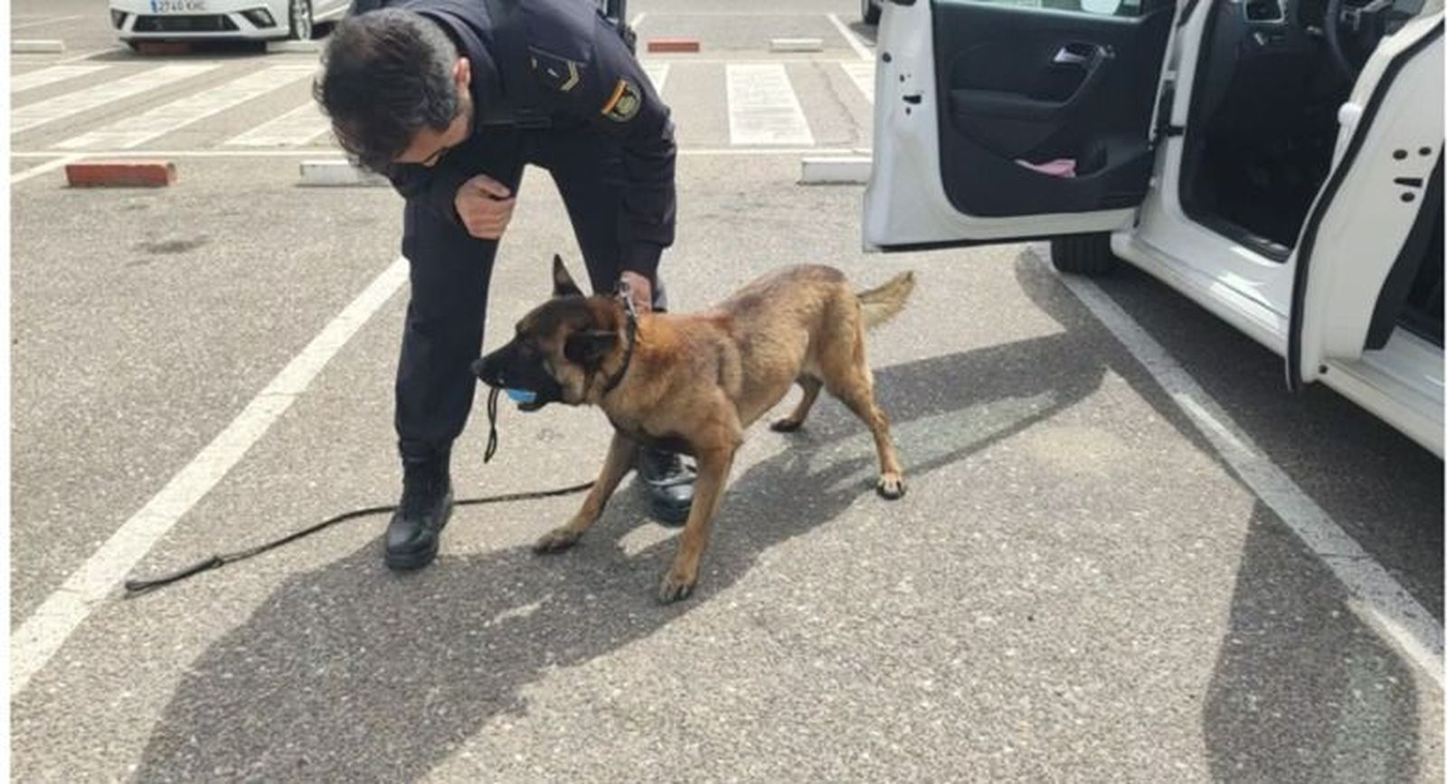 La Policía Nacional registra el vehículo