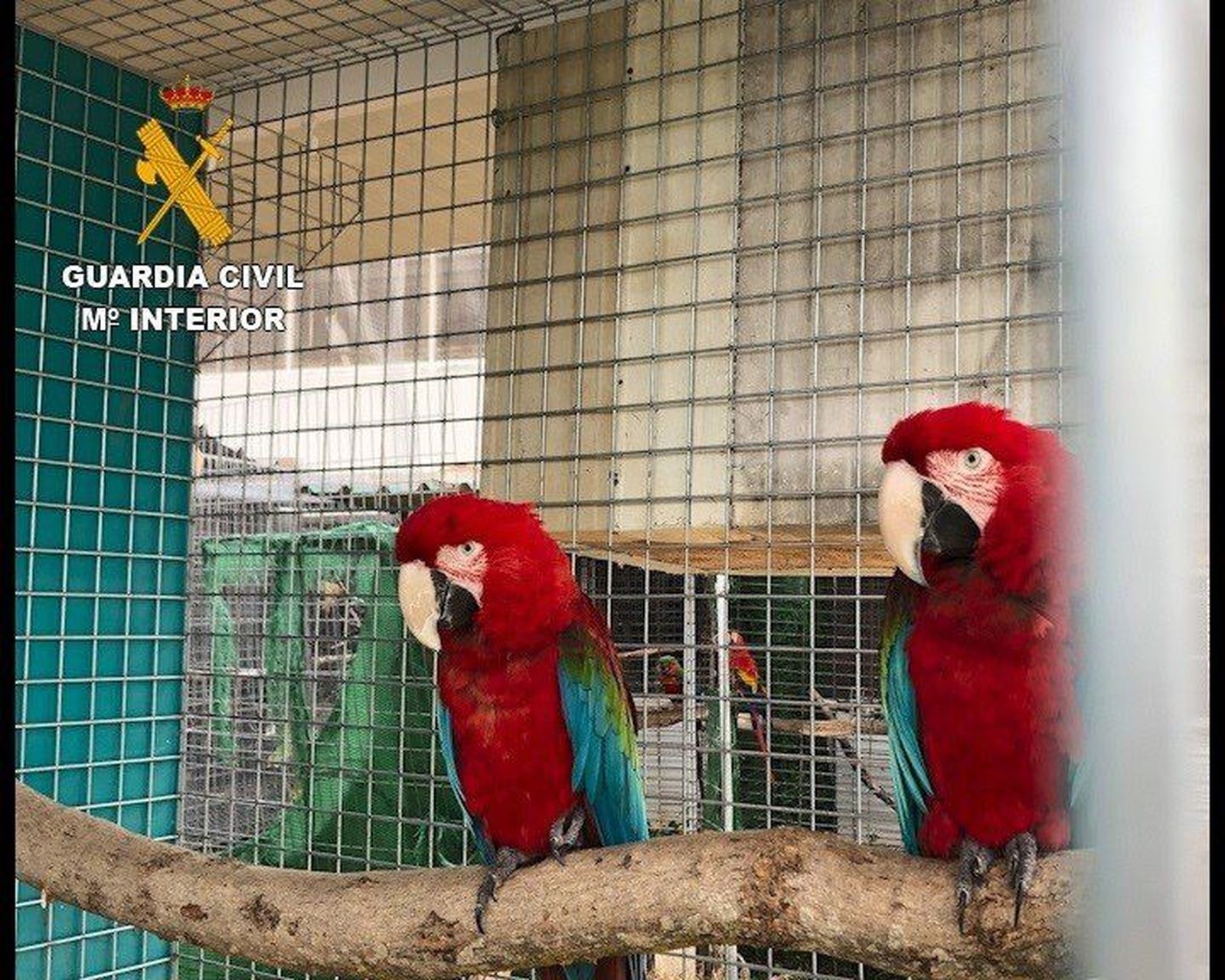 Fotonoticia 20200719094448 1920