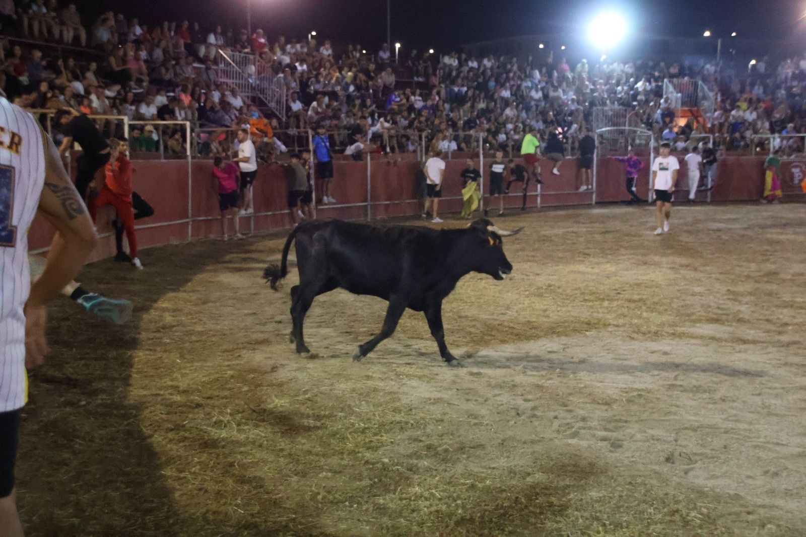 20240815211939-img-3702