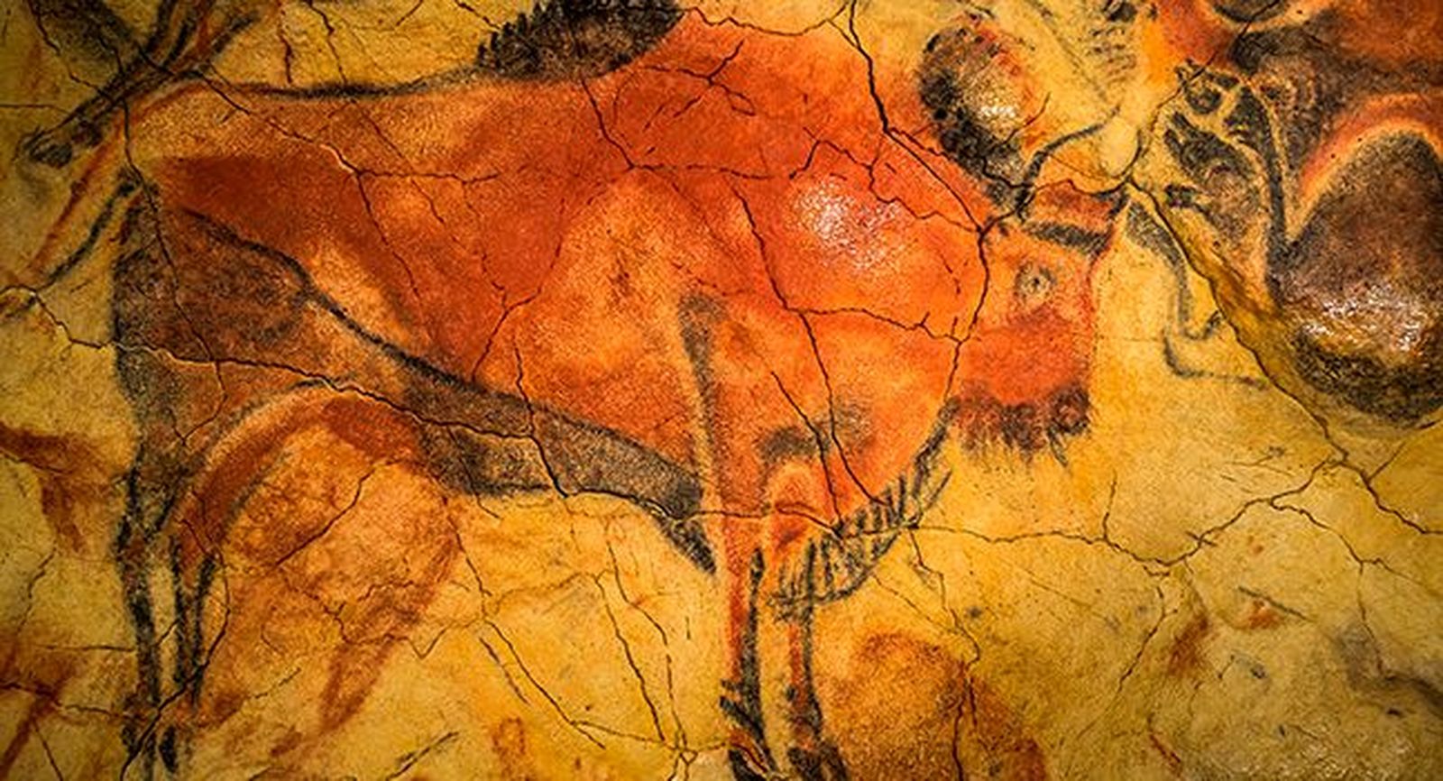 La Universidad de Salamanca lanza un proyecto pionero de arte rupestre accesible para personas con discapacidad