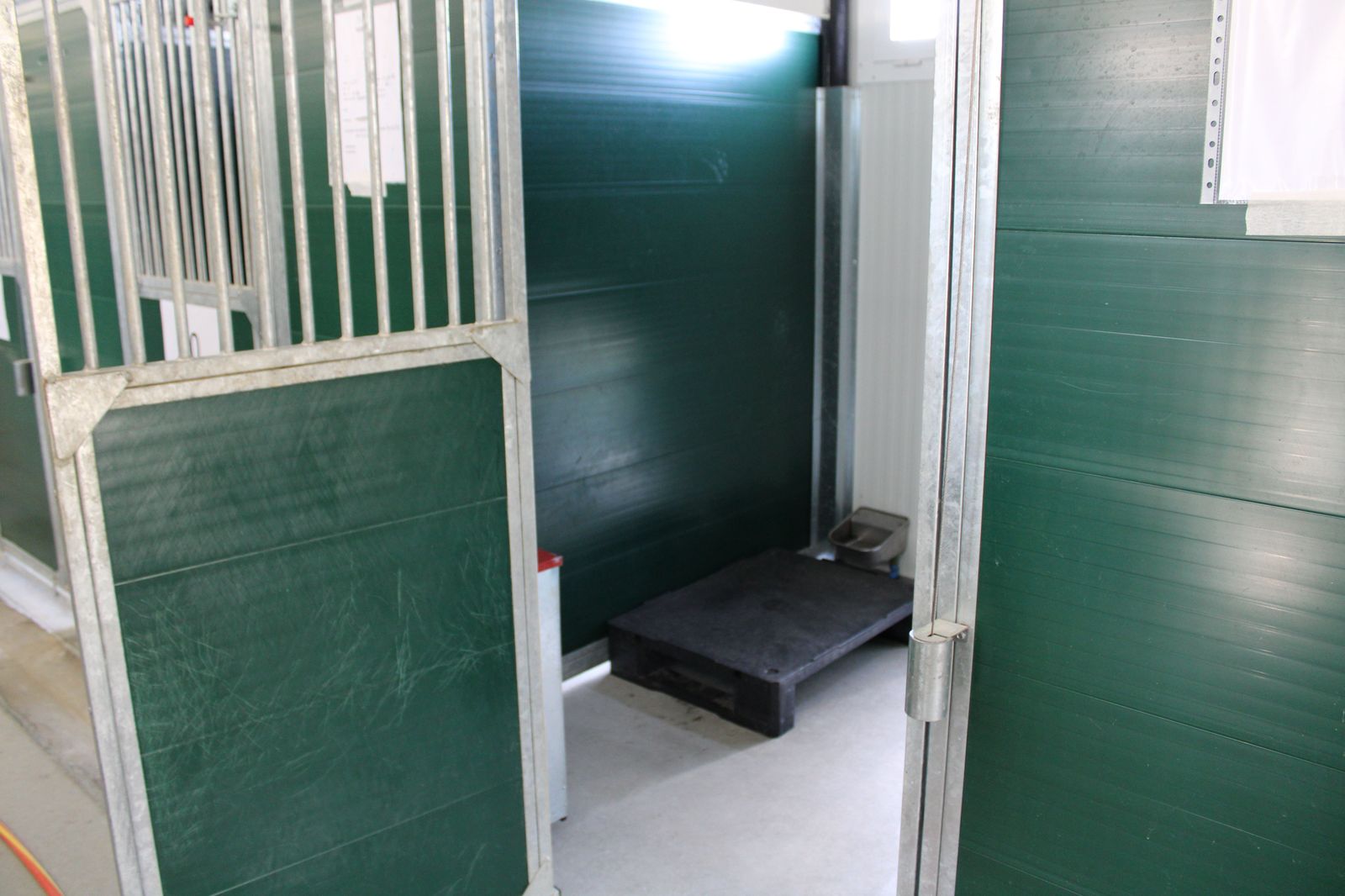 refugio-de-animales-del-ayuntamiento-de-salamanca-59