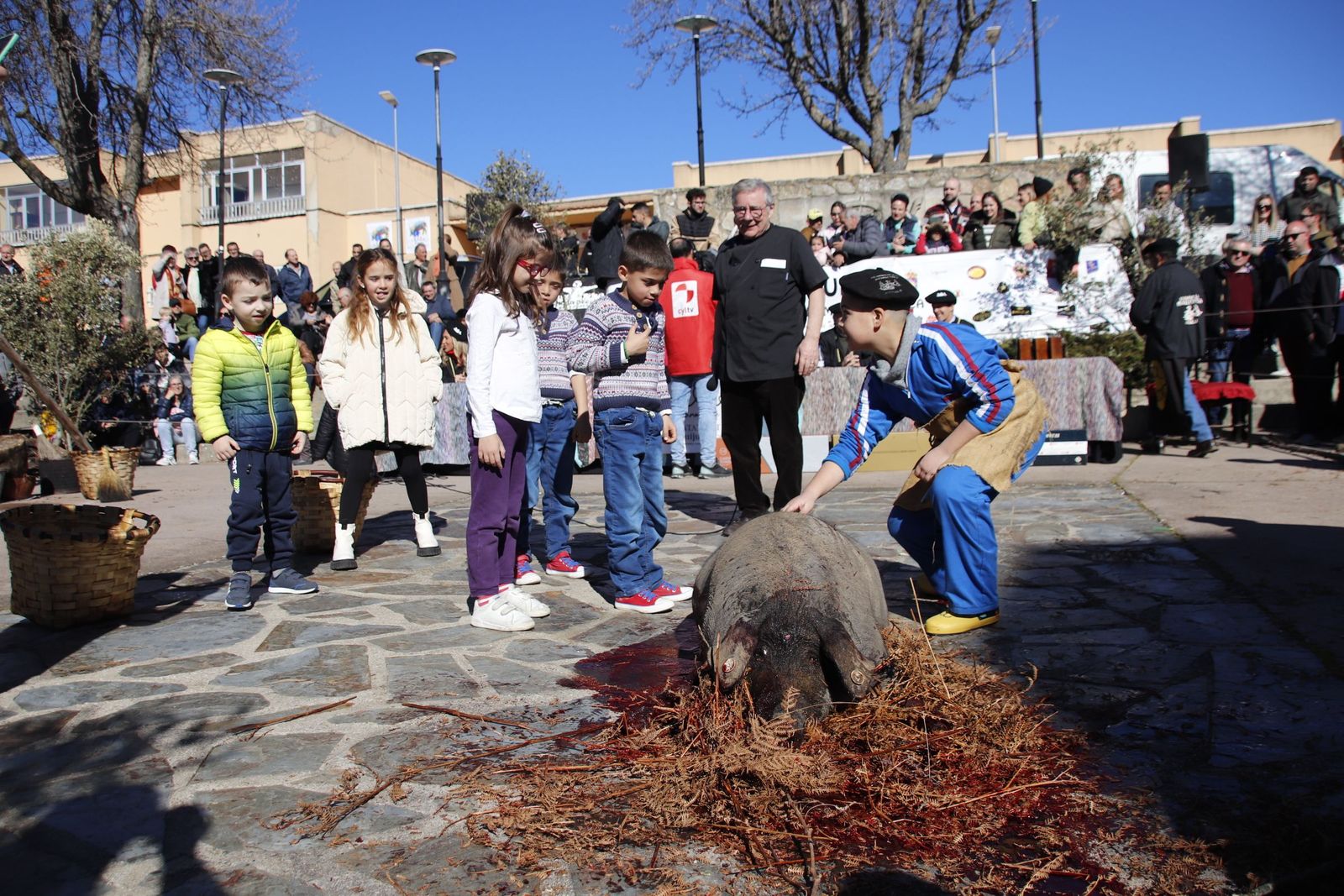 20230204125733-mg-4948