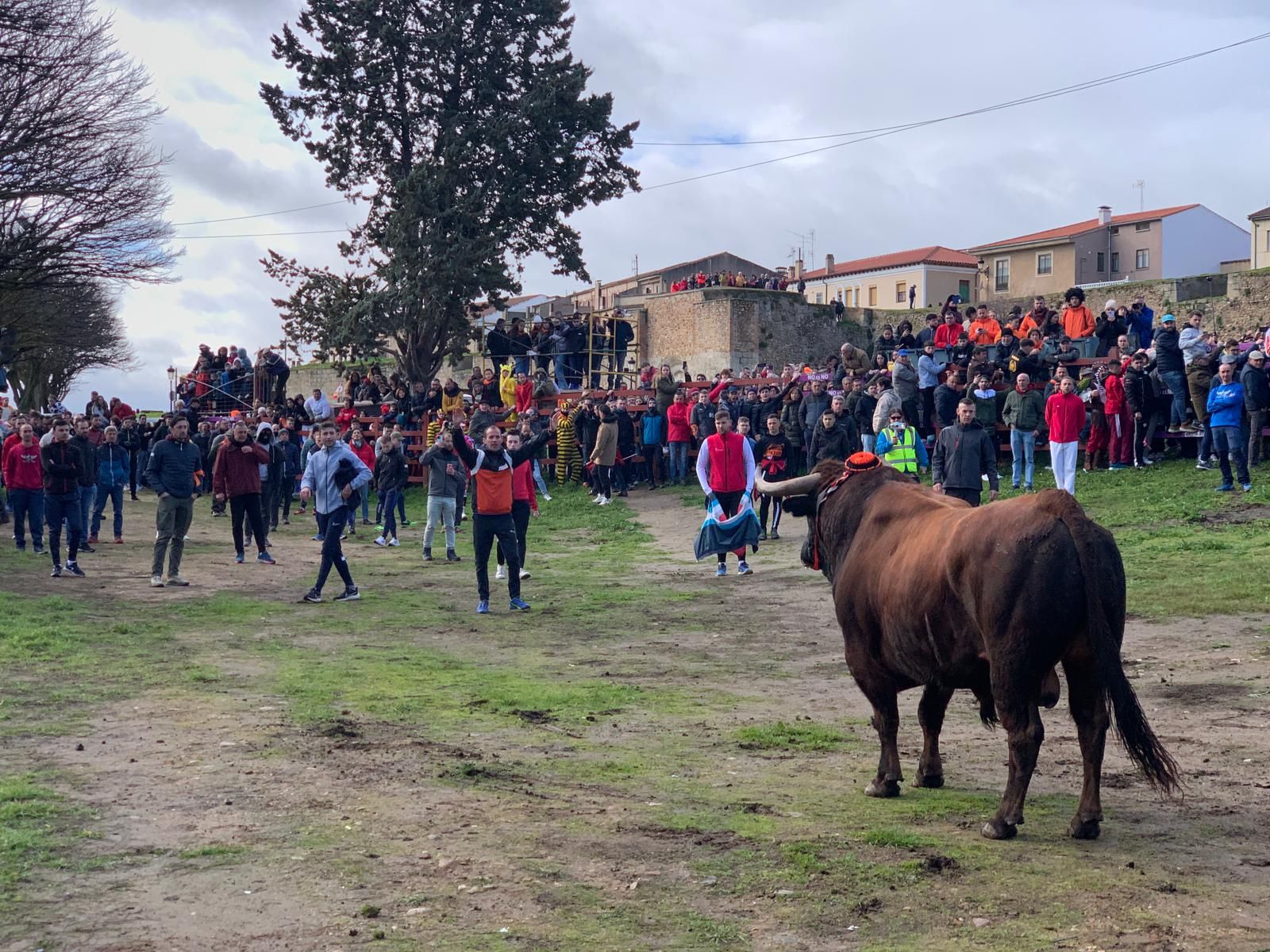 whatsapp-image-2024-02-10-at-11-36-10-2