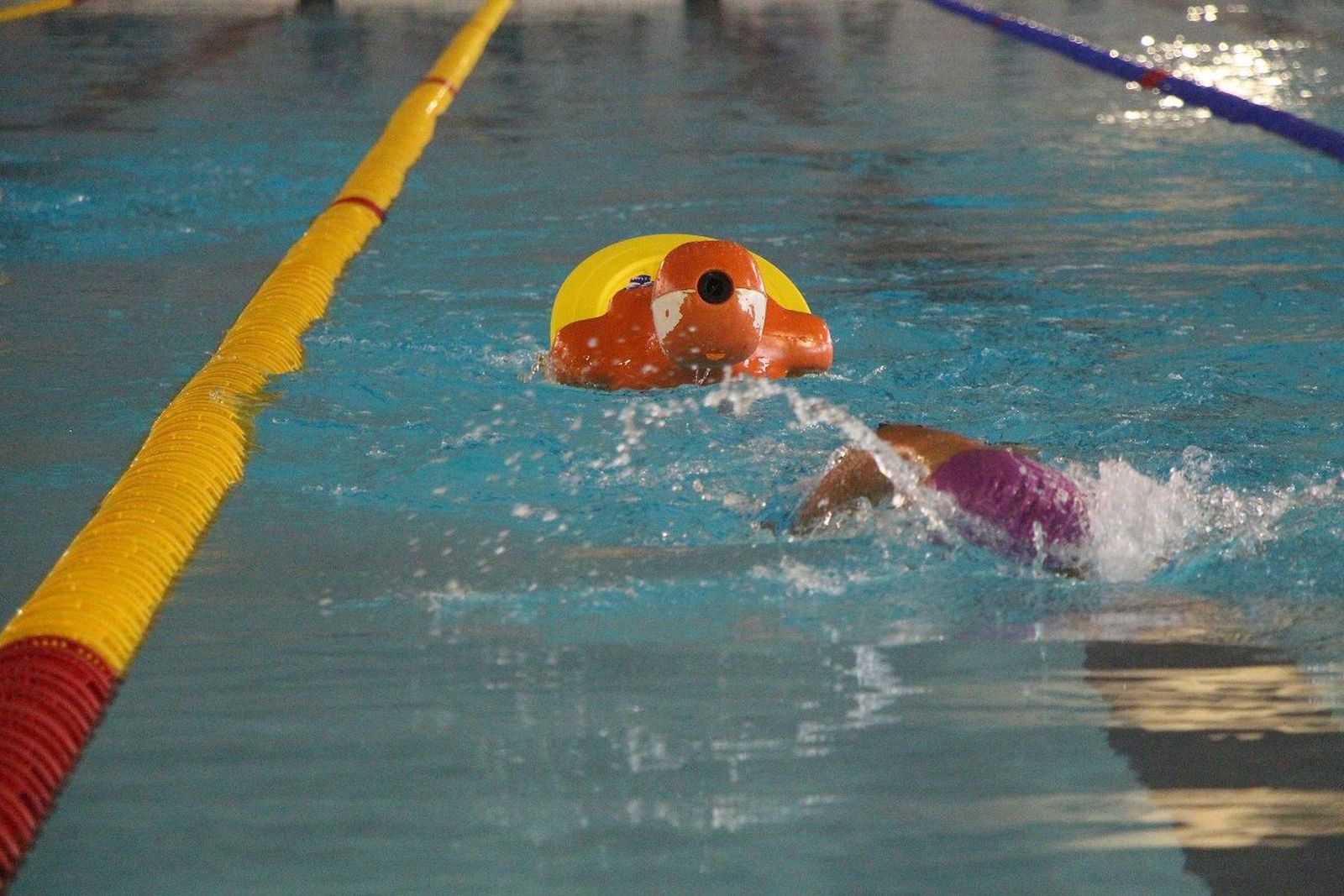 Competición de Salvamento y Socorrismo