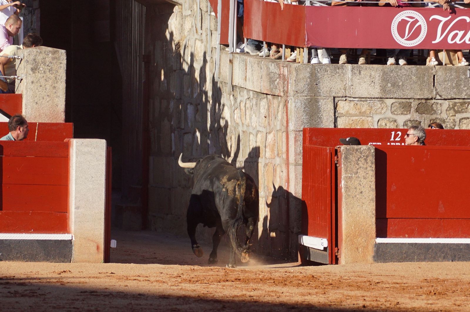 Tradicional Desenjaule en la Plaza de Toros La Glorieta