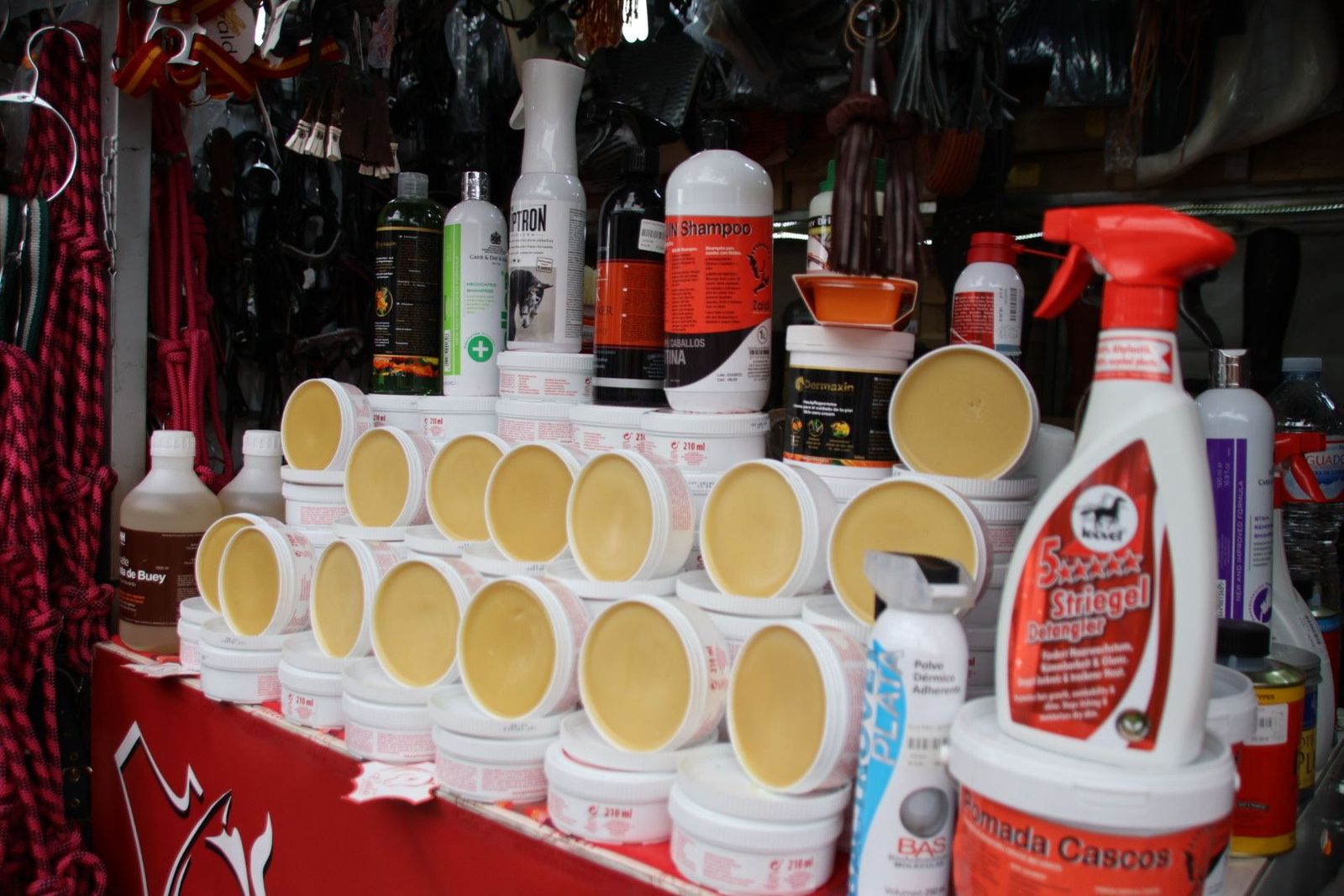 20230903111157-img-7691