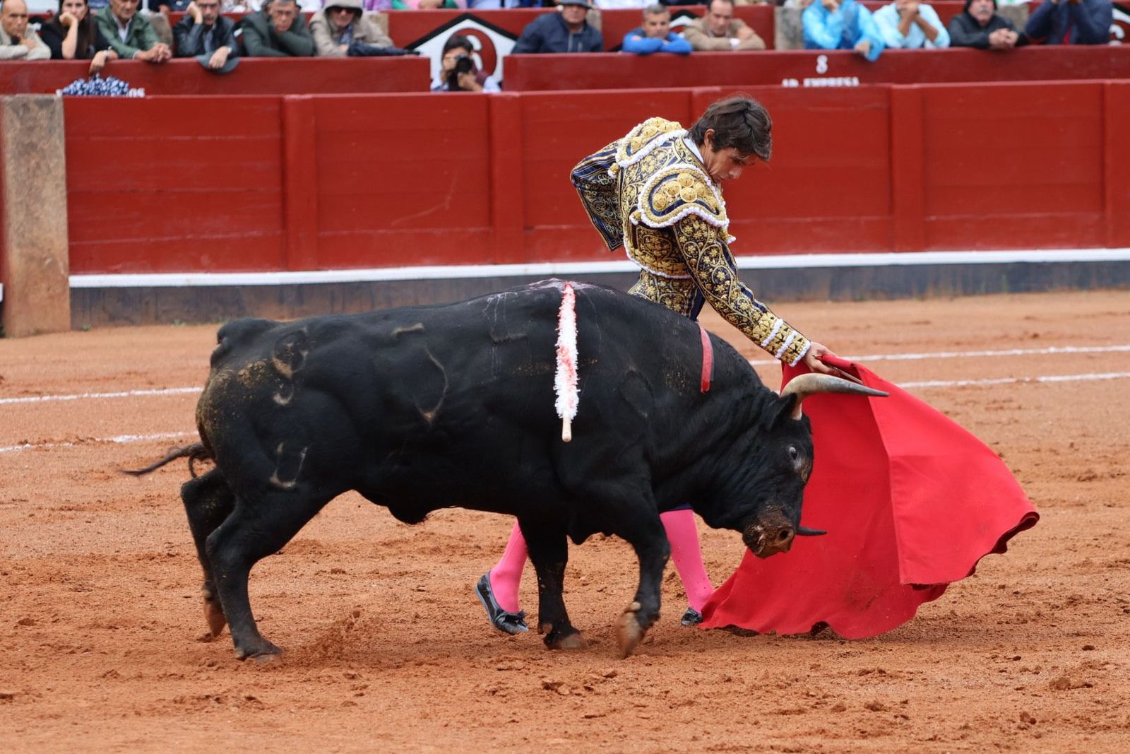 20230916171806-img-5234