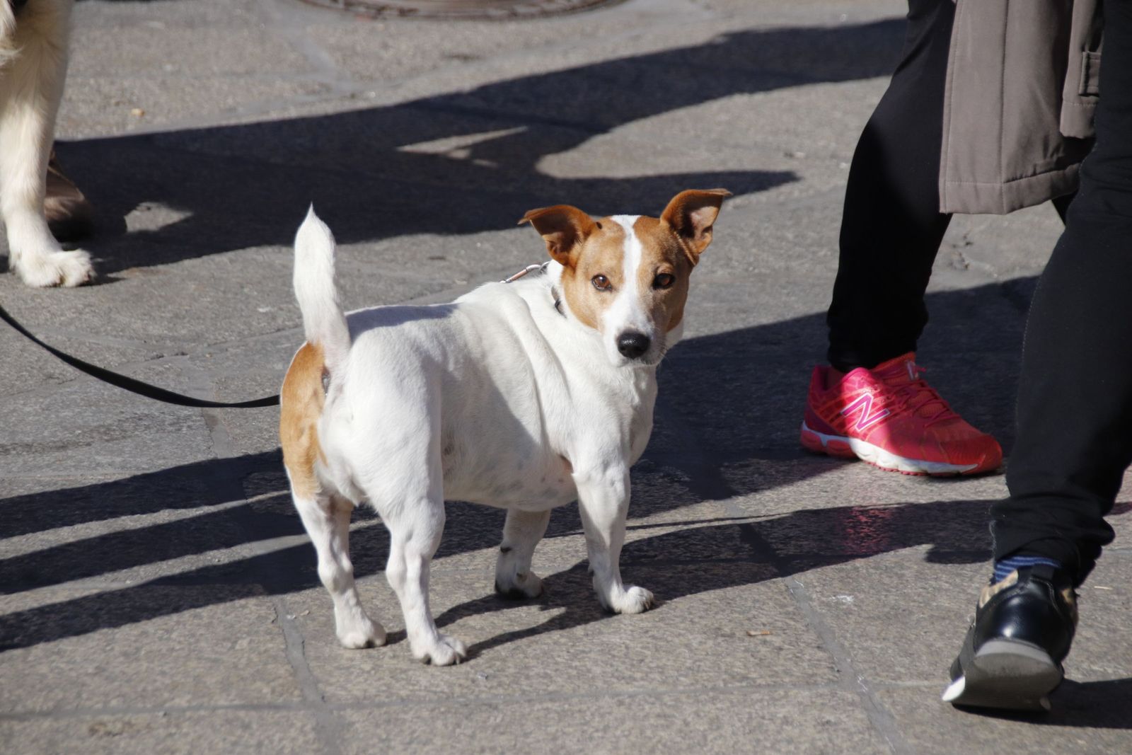 20230205121033-mg-5679