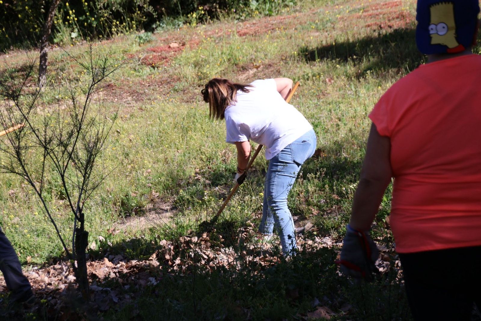 20240413104403-img-8080