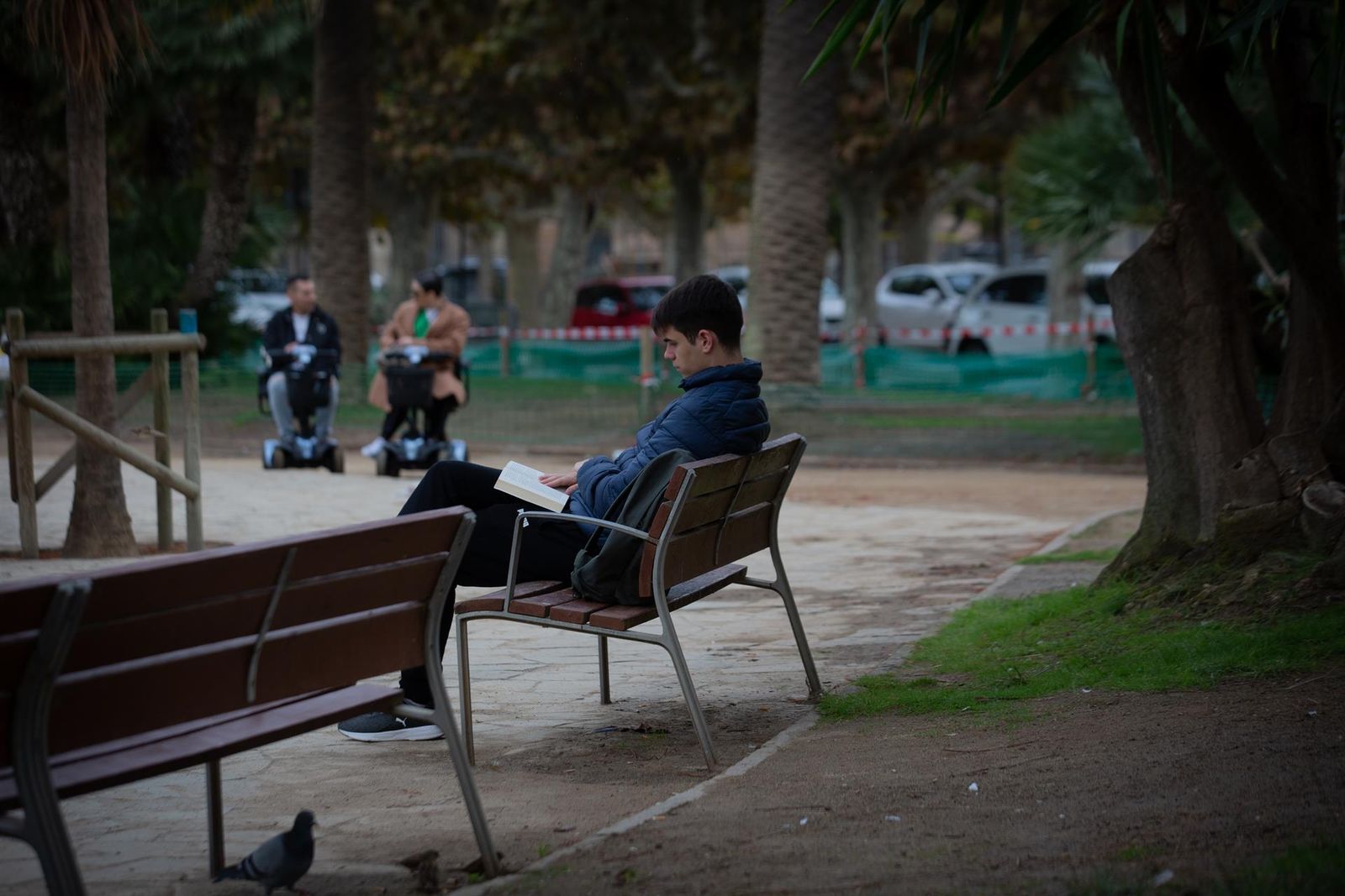 Un joven leyendo un libro en un parque-EP