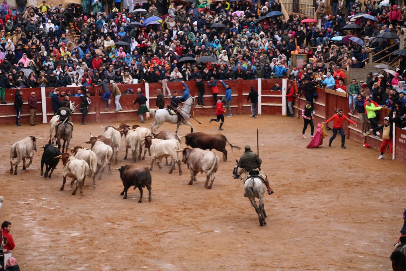 whatsapp-image-2024-02-11-at-11-41-49