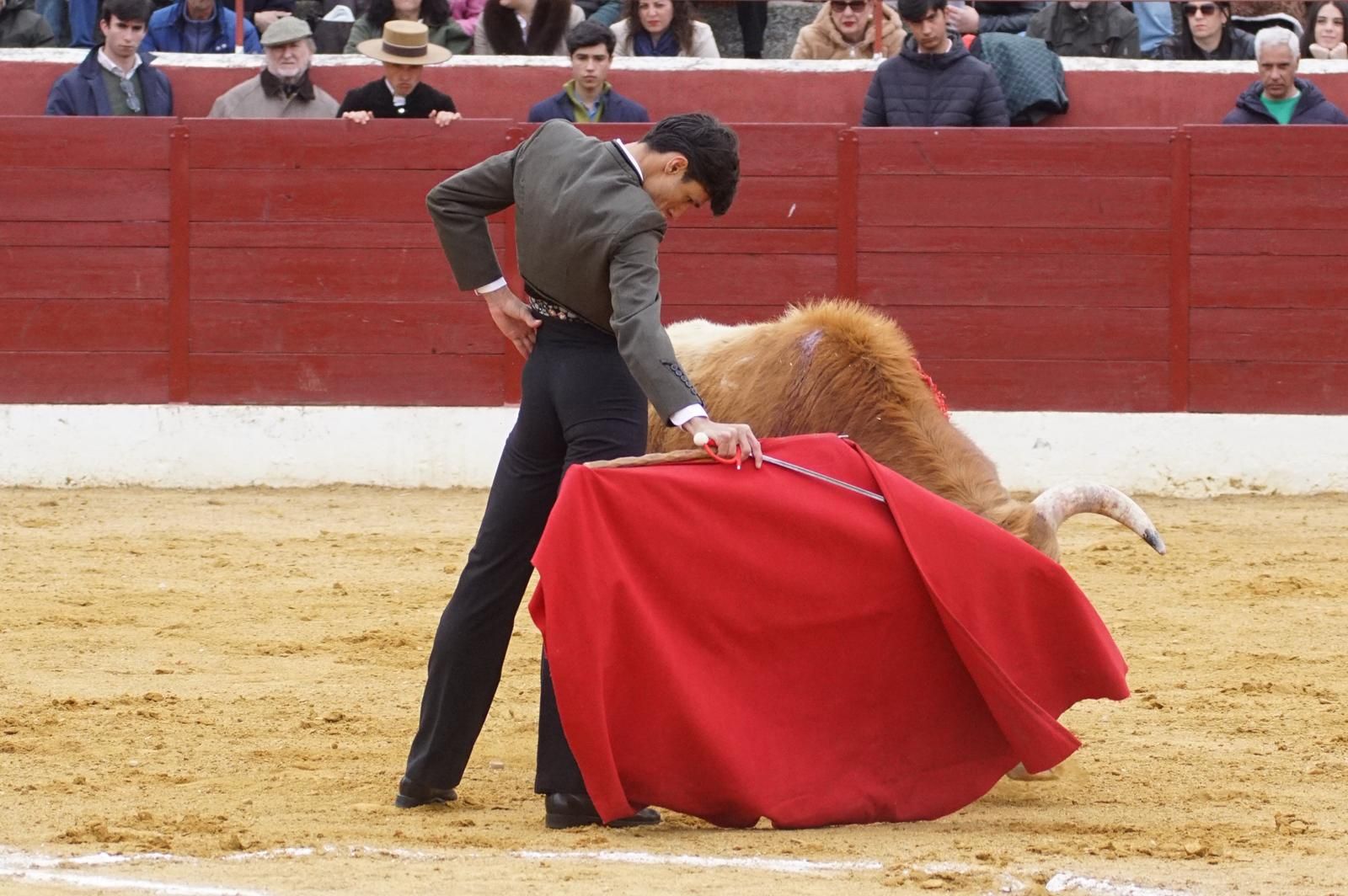 Festival taurino en Villoria