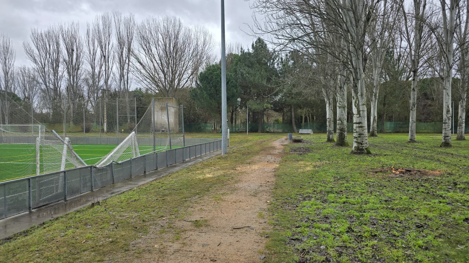 Un árbol de grandes dimensiones cae sobre una de las porterías de La Aldehuela