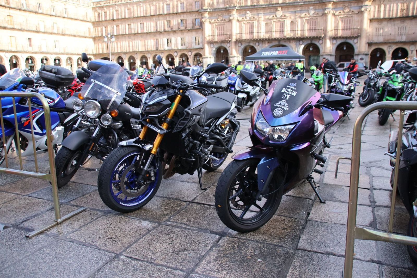 20240303094952-img-8316