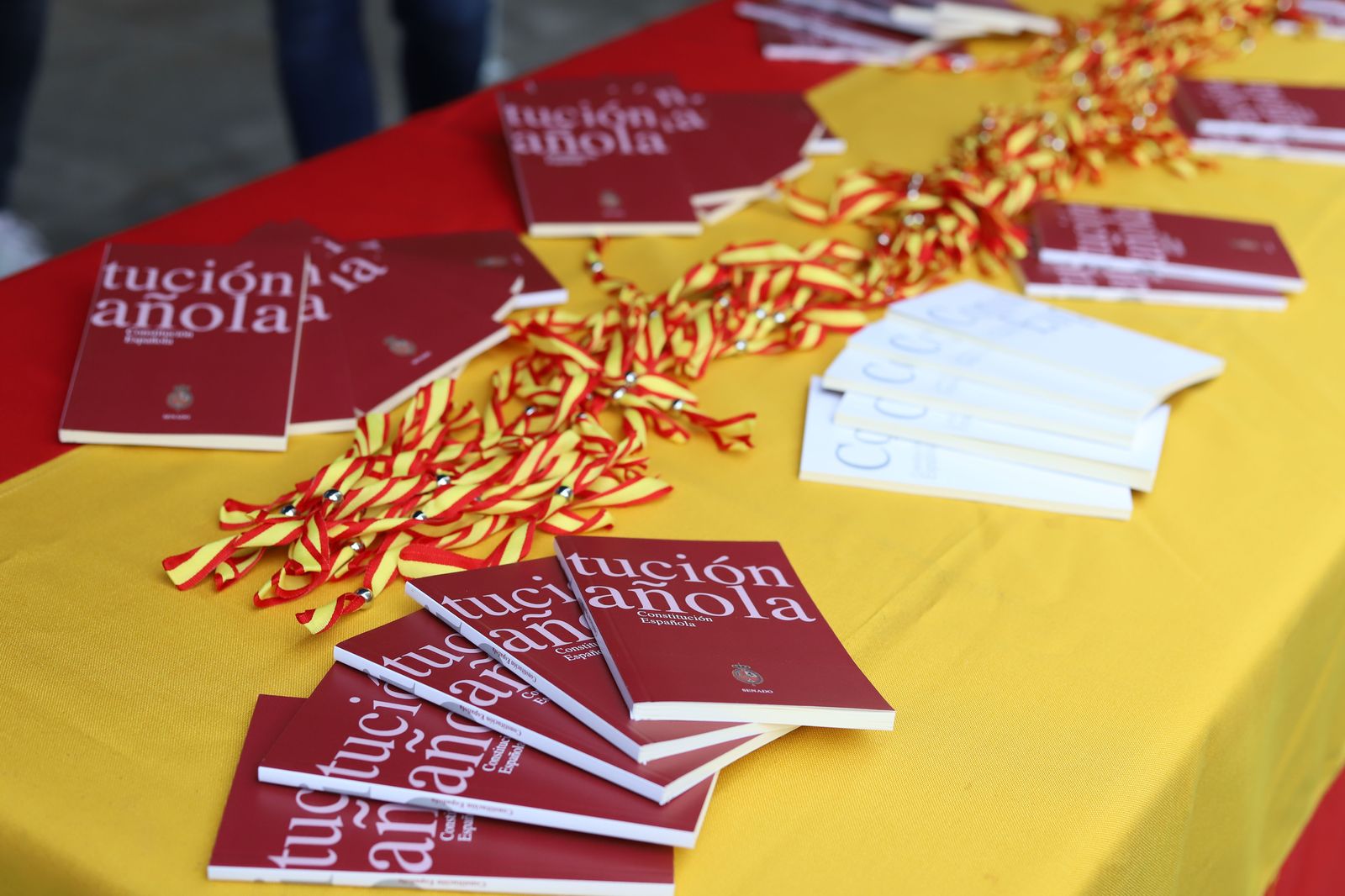 nn-gg-reparte-ejemplares-de-la-constitucion-y-pulseras-de-la-bandera-de-espana-en-zamora-1