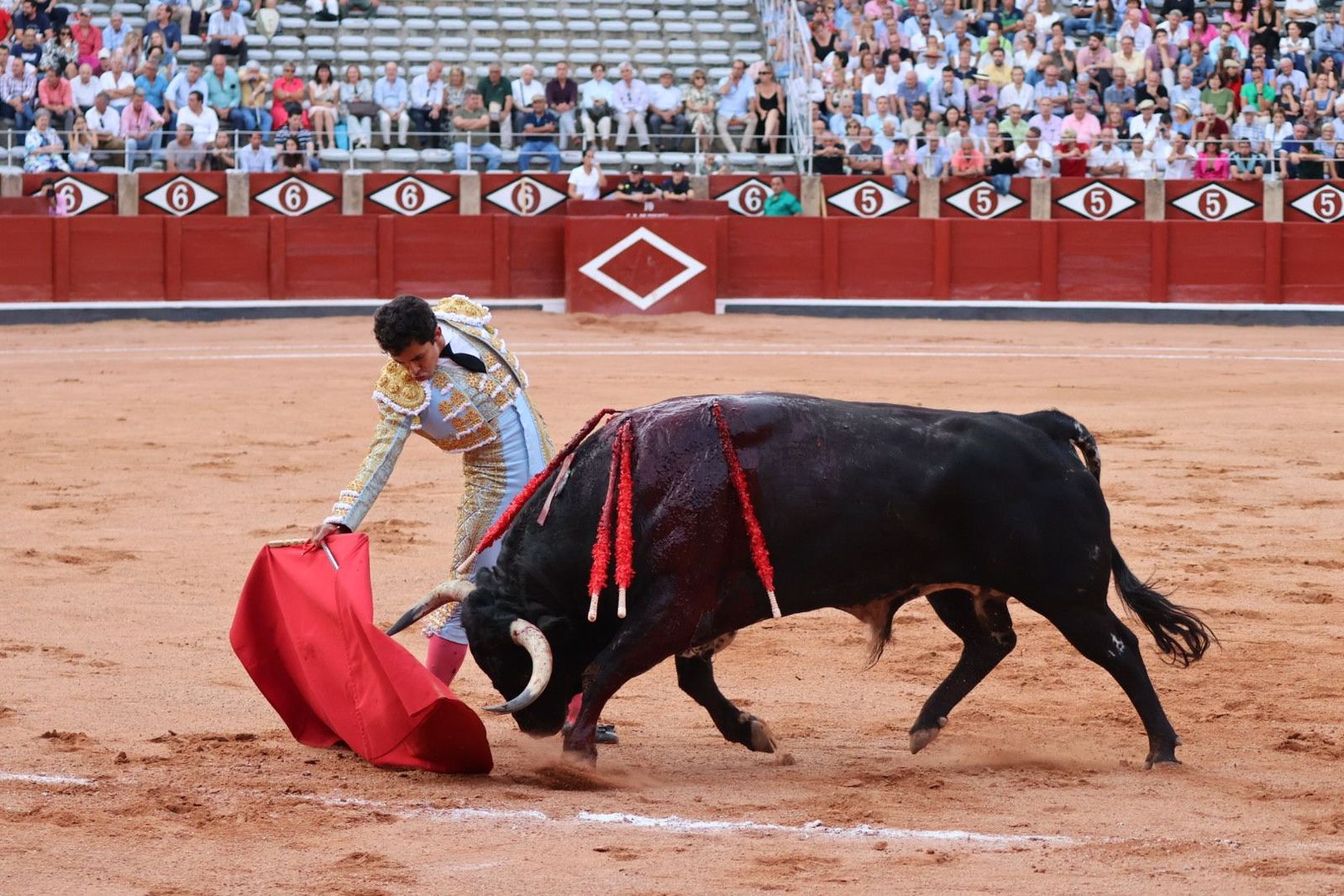 20230910190037-img-2214