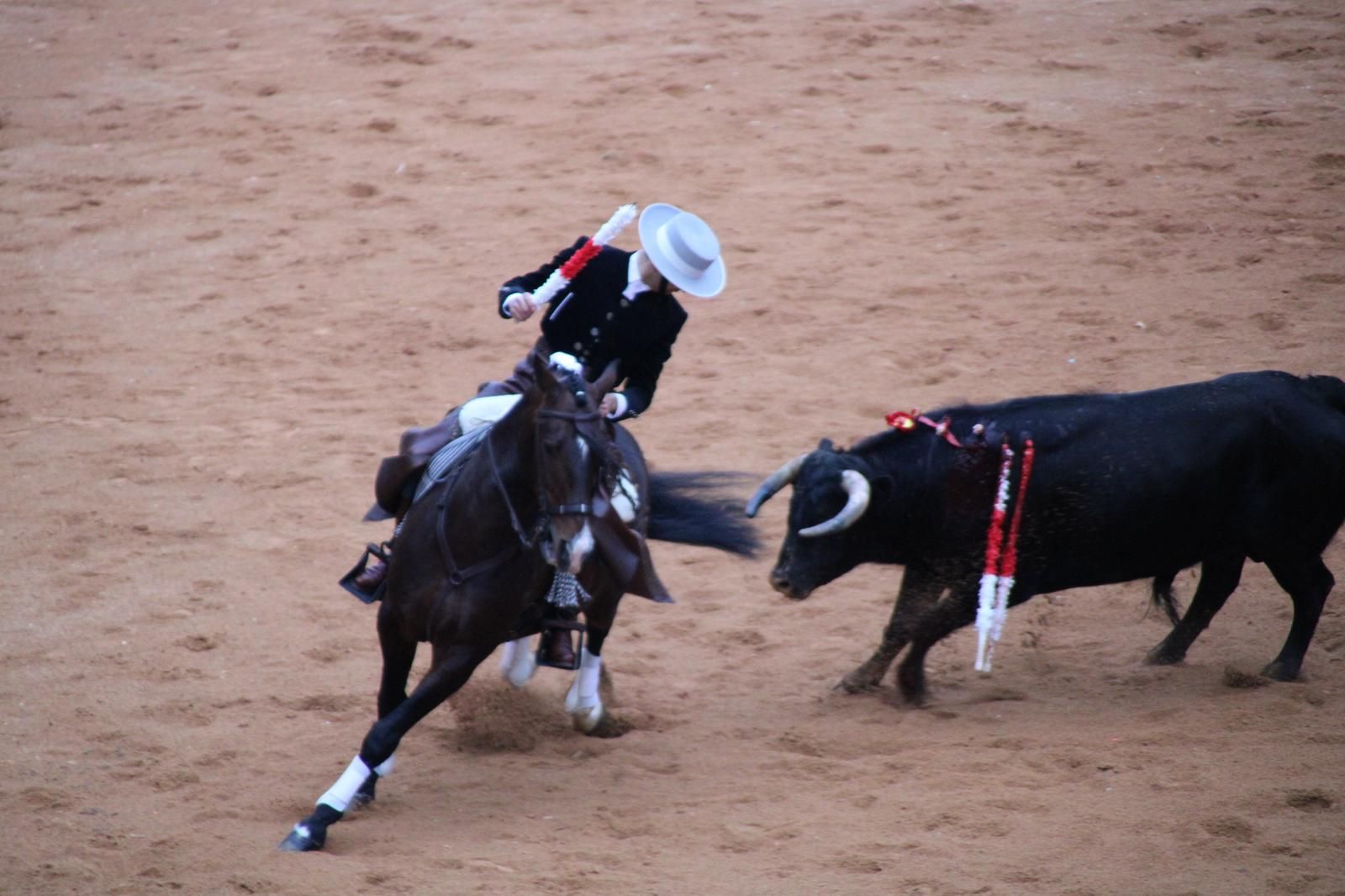 whatsapp-image-2025-03-02-at-18-56-06