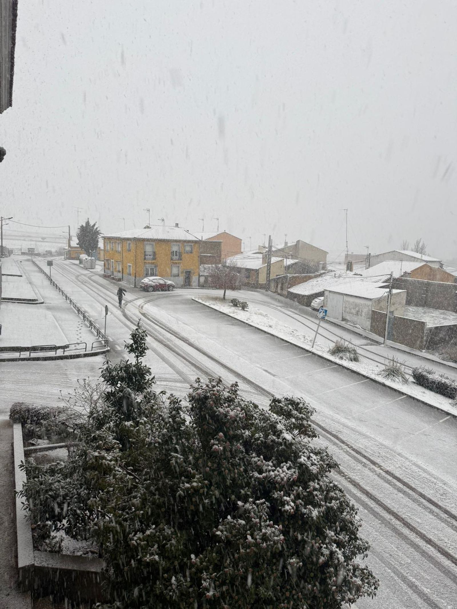 La nieve anega carreteras y tiñe de blanco Salamanca capital y provincia: imágenes de la nevada de este 28 de enero