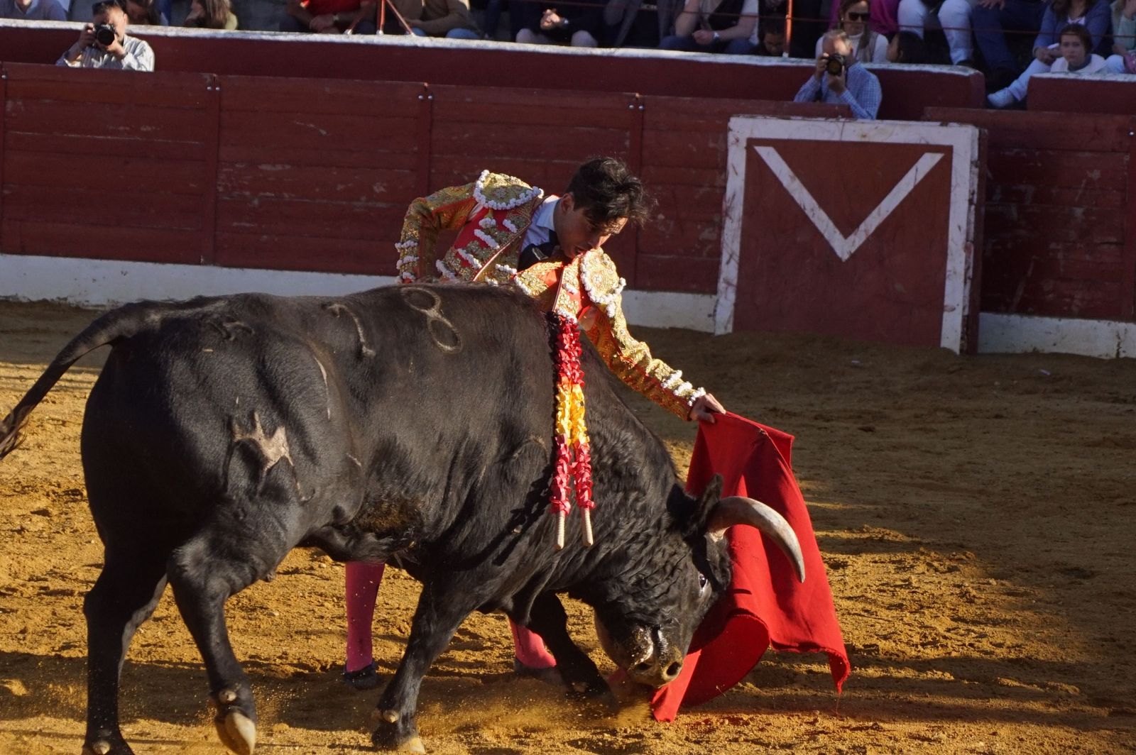 novillada-con-picadores-en-villoria-88