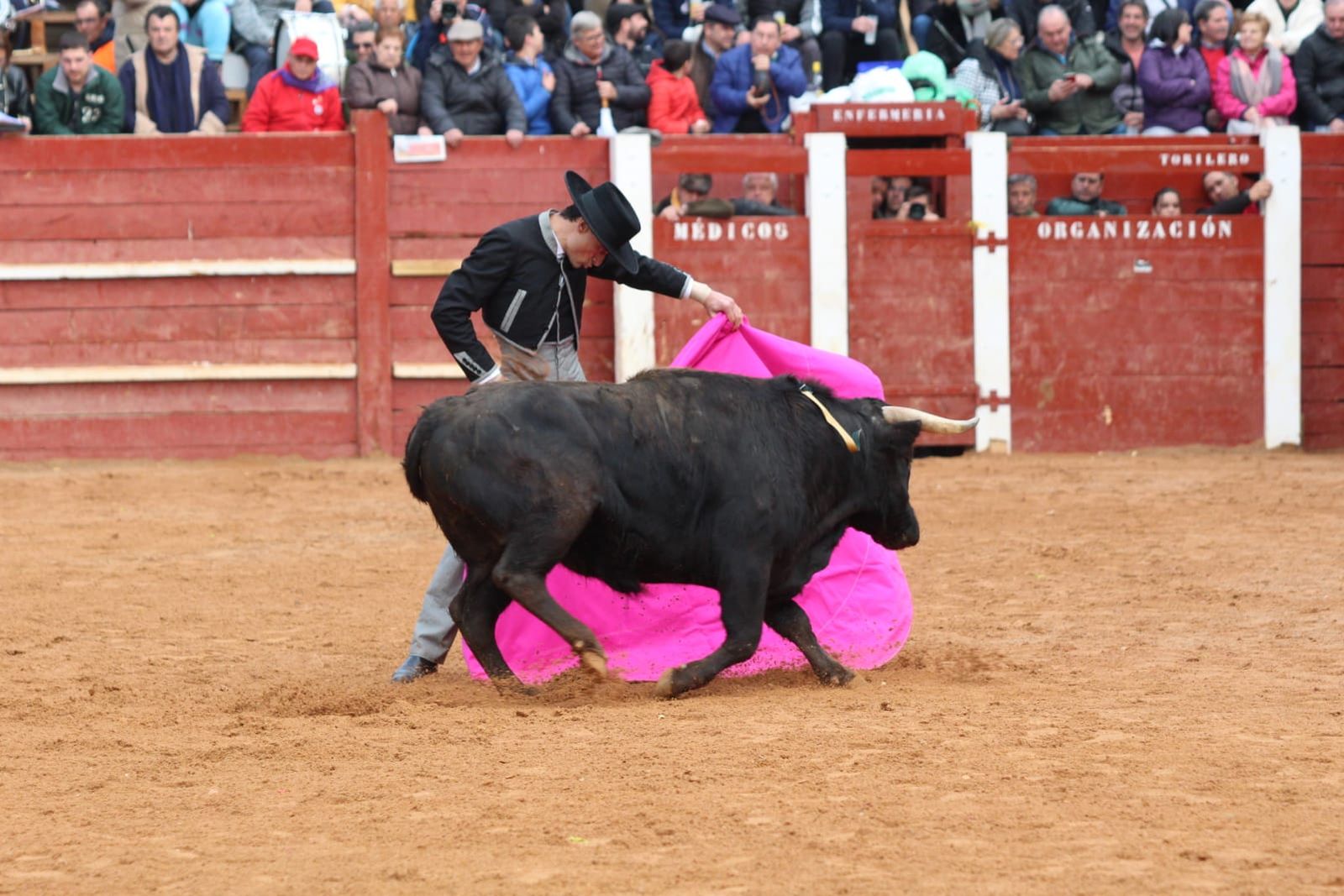 whatsapp-image-2023-02-21-at-17-52-13